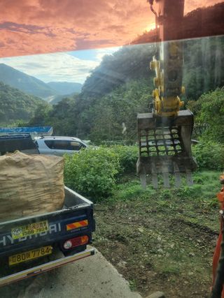 이호성님의 두릅 · 수확 작성글 사진