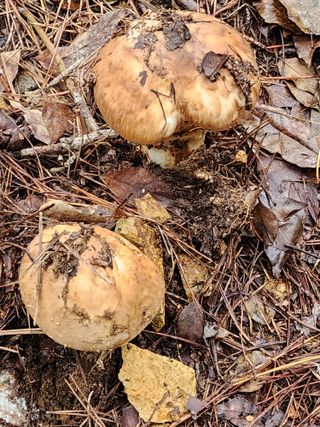 오동균님의 자유주제 · 자유게시판 작성글 사진