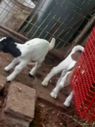 최제영님의 자유주제 · 자유게시판 작성글 사진