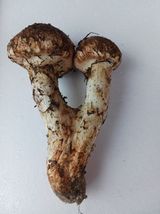 팜모닝 자유주제·사진전 게시글 이미지