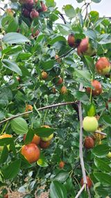 팜모닝 자유주제·자유게시판 게시글 이미지