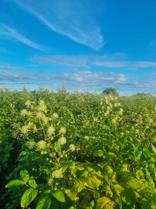 이호성님의 자유주제 · 사진전 작성글 사진