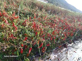 이창우님의 자유주제 · 자유게시판 작성글 사진