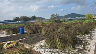 황규복(달구지)님의 자유주제 · 자유게시판 작성글 사진