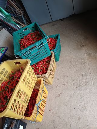 홍순오님의 자유주제 · 자유게시판 작성글 사진