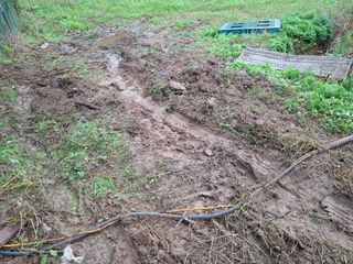 철남 김희곤님의 자유주제 · 자유게시판 작성글 사진