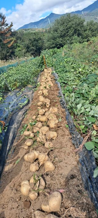 장준재님의 자유주제 · 자유게시판 작성글 사진