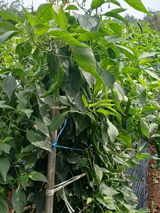 홍순오님의 자유주제 · 자유게시판 작성글 사진