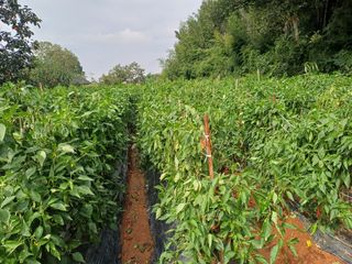 홍순오님의 자유주제 · 자유게시판 작성글 사진