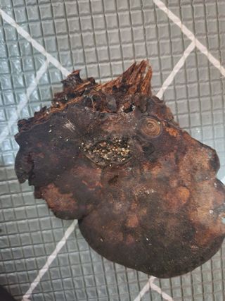 정연희님의 자유주제 · 자유게시판 작성글 사진