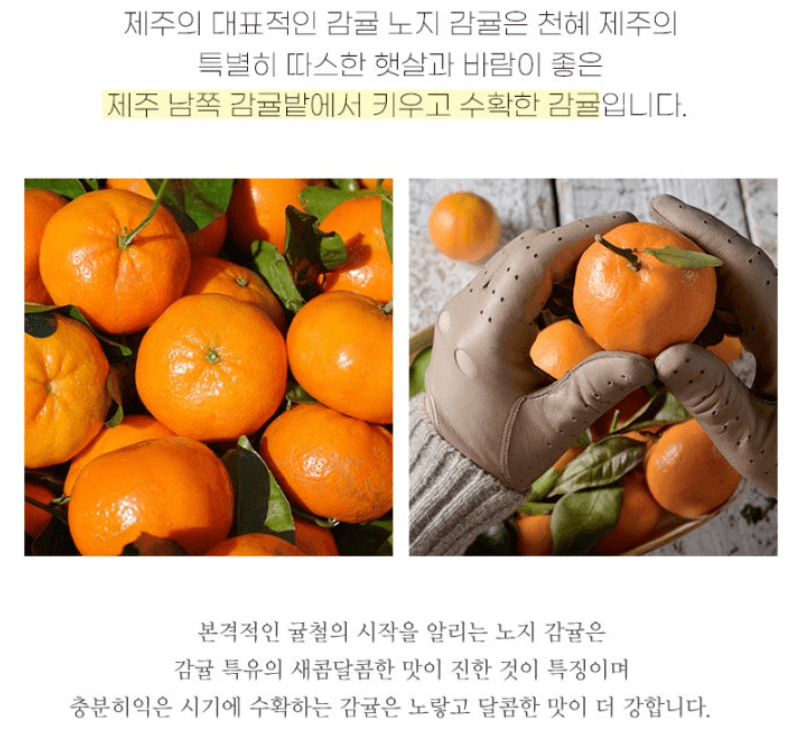 스피드번님의 장터 판매 상품 [고당도 타이백 노지감귤] 첨부 사진