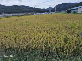 사천시향촌동 돼지띠님의 자유주제 · 자유게시판 작성글 사진