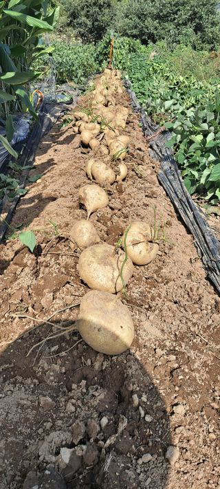 장준재님의 자유주제 · 자유게시판 작성글 사진