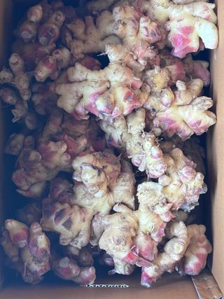 이재운님의 자유주제 · 자유게시판 작성글 사진