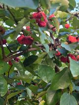 팜모닝 자유주제·자유게시판 게시글 이미지