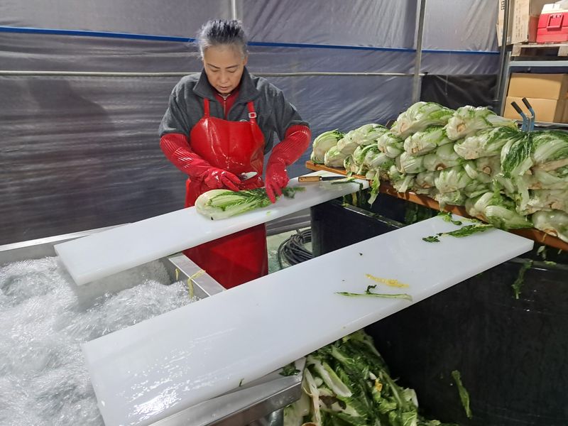 음두임님의 장터 판매 상품 [괴산초록농장 절임배추 예약판매] 첨부 사진