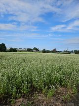 팜모닝 자유주제·자유게시판 게시글 이미지