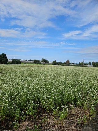 제주 지안이네농장님의 자유주제 · 자유게시판 작성글 사진
