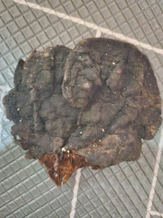 정연희님의 자유주제 · 자유게시판 작성글 사진