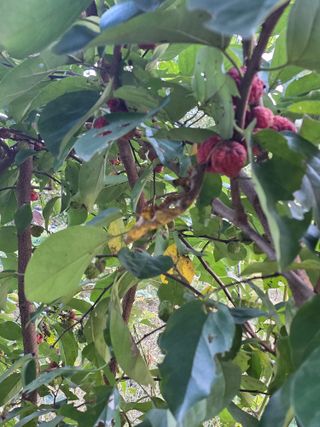 두레연님의 자유주제 · 자유게시판 작성글 사진