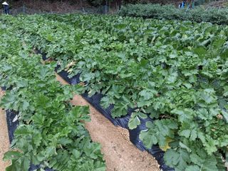 한건택님의 자유주제 · 자유게시판 작성글 사진