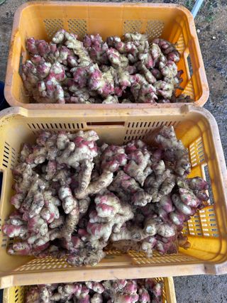 이재운님의 자유주제 · 자유게시판 작성글 사진