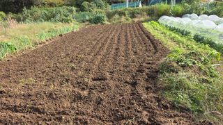 정인재님의 자유주제 · 자유게시판 작성글 사진