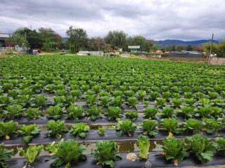 손정아님의 자유주제 · 자유게시판 작성글 사진