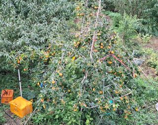 철남 김희곤님의 자유주제 · 자유게시판 작성글 사진