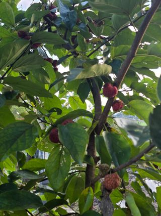 두레연님의 자유주제 · 자유게시판 작성글 사진