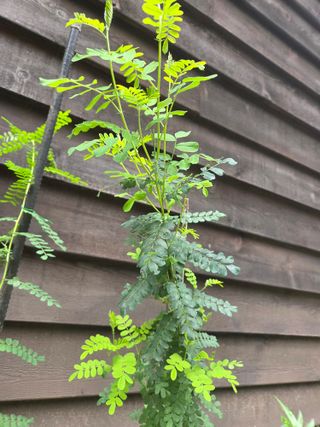 나인 골프님의 자유주제 · 자유게시판 작성글 사진