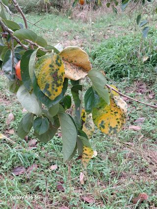 이홍석님의 자유주제 · 자유게시판 작성글 사진