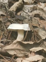 팜모닝 자유주제·자유게시판 게시글 이미지