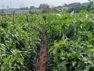 홍순오님의 자유주제 · 자유게시판 작성글 사진