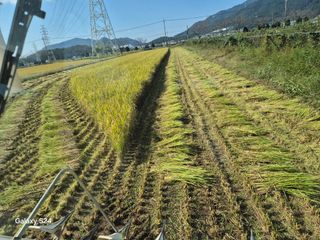 사천시향촌동 돼지띠님의 자유주제 · 자유게시판 작성글 사진