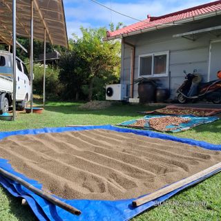 SVAHA5657님의 자유주제 · 자유게시판 작성글 사진