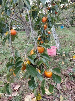 이홍석님의 자유주제 · 자유게시판 작성글 사진