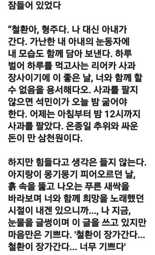 (팽나무*공주)님의 자유주제 · 자유게시판 작성글 사진