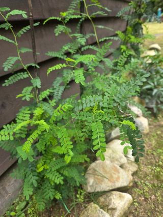 나인 골프님의 자유주제 · 자유게시판 작성글 사진