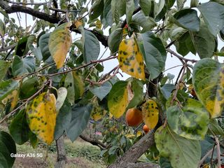 이홍석님의 자유주제 · 자유게시판 작성글 사진