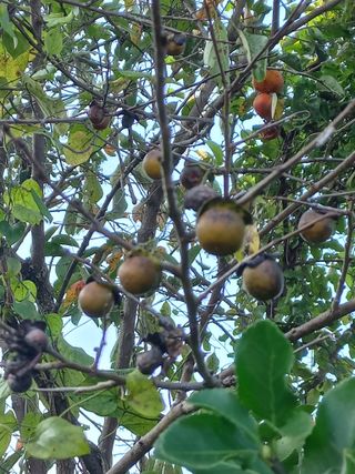 김호님의 자유주제 · 자유게시판 작성글 사진