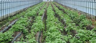 한밭농원님의 자유주제 · 자유게시판 작성글 사진