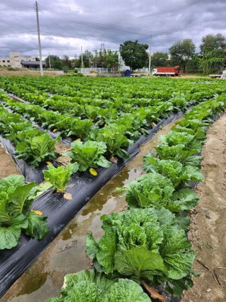 손정아님의 자유주제 · 자유게시판 작성글 사진