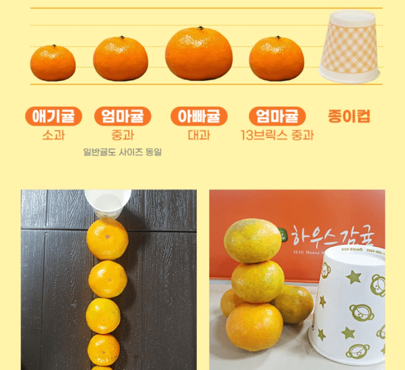 스피드번님의 장터 판매 상품 [고당도 타이백 노지감귤] 첨부 사진