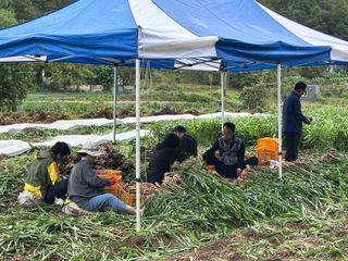 이재운님의 자유주제 · 자유게시판 작성글 사진