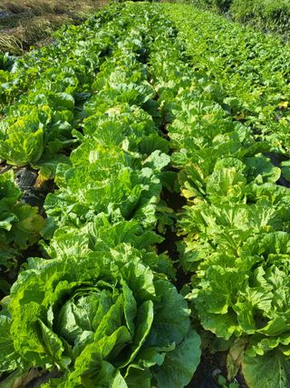 이연화님의 자유주제 · 자유게시판 작성글 사진