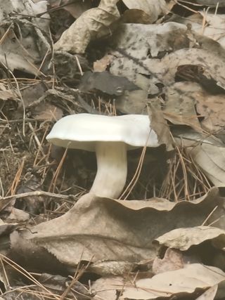 호랑이와인성이님의 자유주제 · 자유게시판 작성글 사진