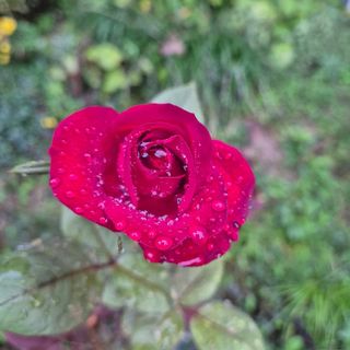 안길원님의 자유주제 · 자유게시판 작성글 사진