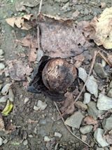 팜모닝 자유주제·자유게시판 게시글 이미지