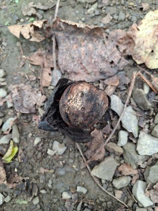 엄순모사선대농장님의 자유주제 · 자유게시판 작성글 사진